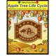 Talking Picture Series - APPLE LIFE CYCLE